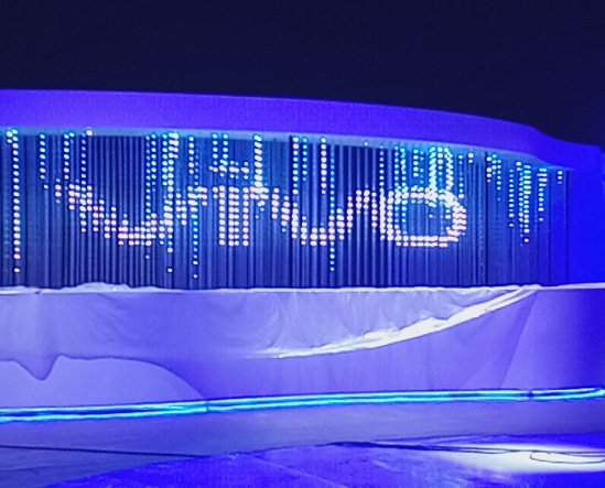 Beijing Water Cube -  VIVO Conference